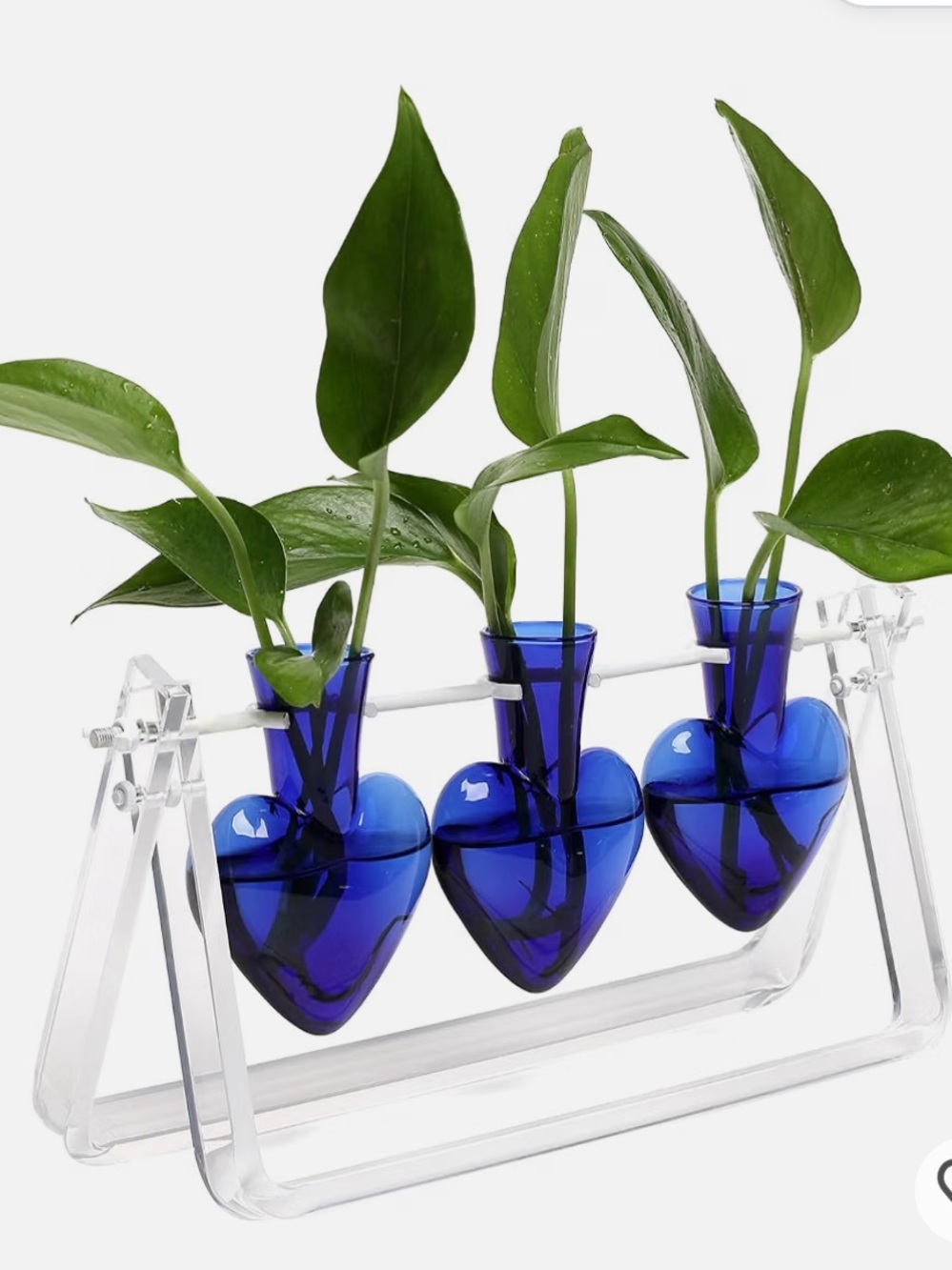 NWT Plant propagation station Cobalt Blue Glass Heart with acrylic stand